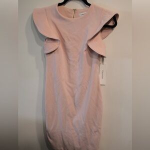 Women’s Calvin Klein Blush pink dress. Size 2. NWT